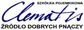 Certyfikat EN 1090 ISO 3834 Clematis Pruszków