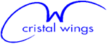Wdrożenie ISO 14001 Cristal Wings Łuków