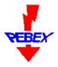 Szkolenie AEO Pebex SA Bełchatów